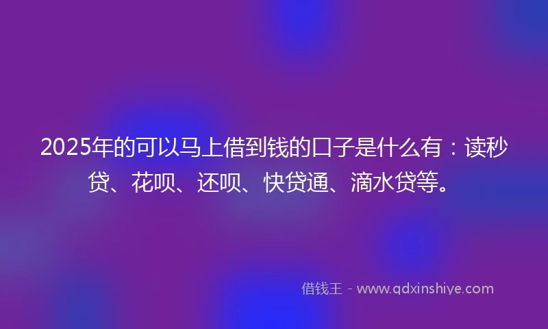 2025年的可以马上借到钱的口子是什么有：读秒贷、花呗、还呗、快贷通、滴水贷等。