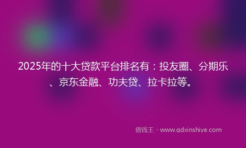 2025年的十大贷款平台排名有：投友圈、分期乐、京东金融、功夫贷、拉卡拉等。