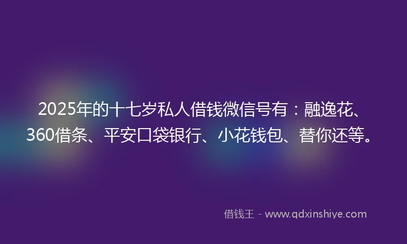 2025年的十七岁私人借钱微信号有：融逸花、360借条、平安口袋银行、小花钱包、替你还等。