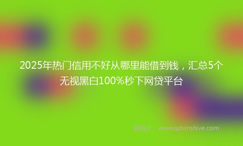 2025年热门信用不好从哪里能借到钱，汇总5个无视黑白100%秒下网贷平台