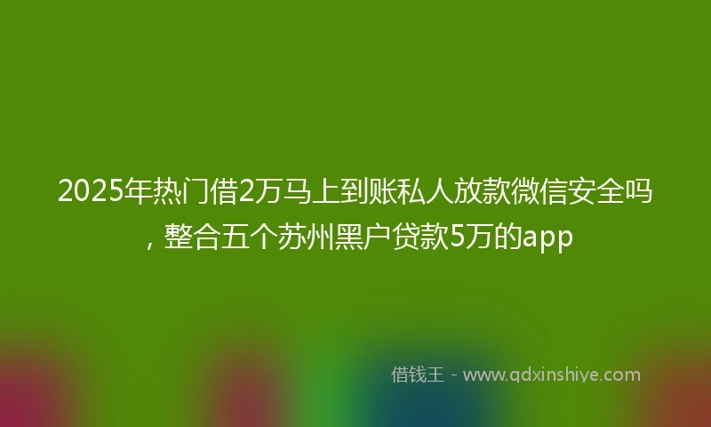 2025年热门借2万马上到账私人放款微信安全吗，整合五个苏州黑户贷款5万的app