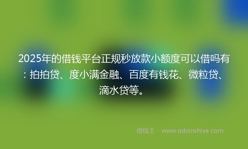 2025年的借钱平台正规秒放款小额度可以借吗有：拍拍贷、度小满金融、百度有钱花、微粒贷、滴水贷等。
