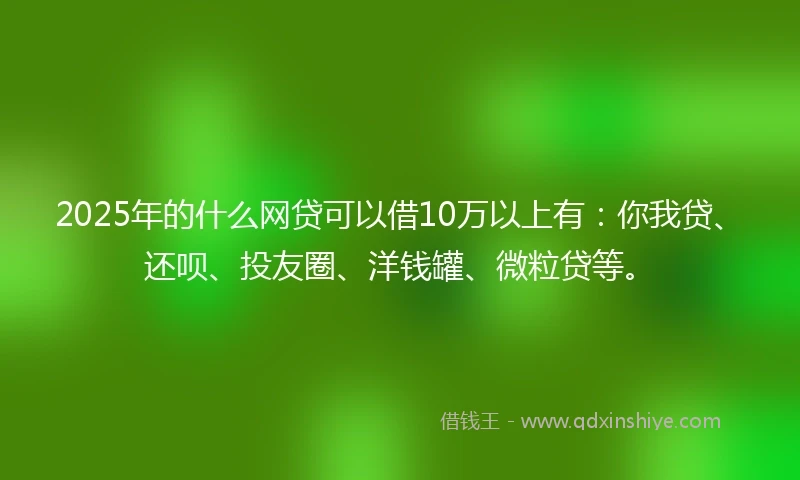 2025年的什么网贷可以借10万以上有：你我贷、还呗、投友圈、洋钱罐、微粒贷等。