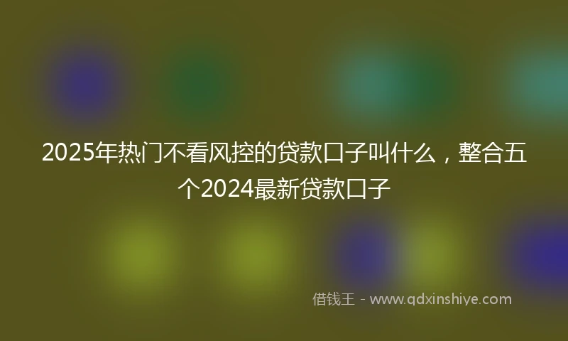 2025年热门不看风控的贷款口子叫什么，整合五个2024最新贷款口子