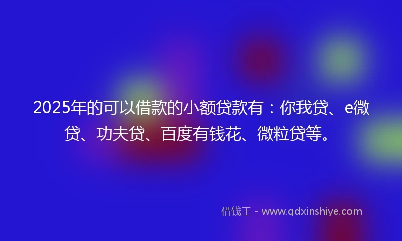 2025年的可以借款的小额贷款有：你我贷、e微贷、功夫贷、百度有钱花、微粒贷等。