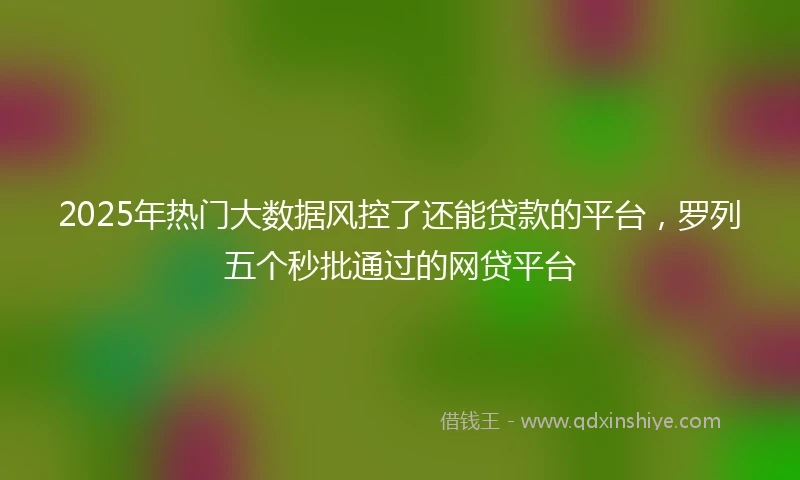 2025年热门大数据风控了还能贷款的平台，罗列五个秒批通过的网贷平台