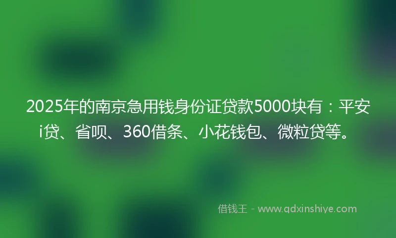 2025年的南京急用钱身份证贷款5000块有：平安i贷、省呗、360借条、小花钱包、微粒贷等。