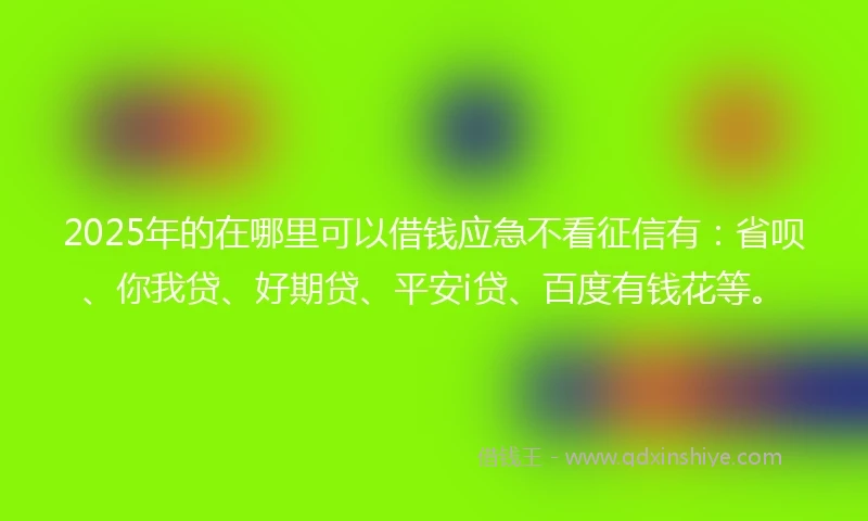 2025年的在哪里可以借钱应急不看征信有：省呗、你我贷、好期贷、平安i贷、百度有钱花等。