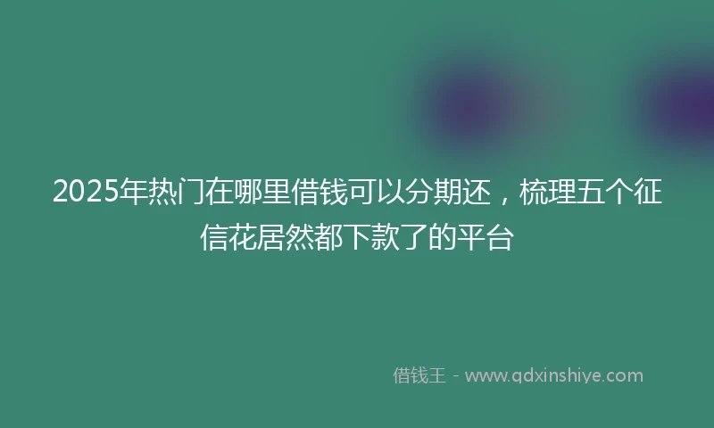 2025年热门在哪里借钱可以分期还，梳理五个征信花居然都下款了的平台