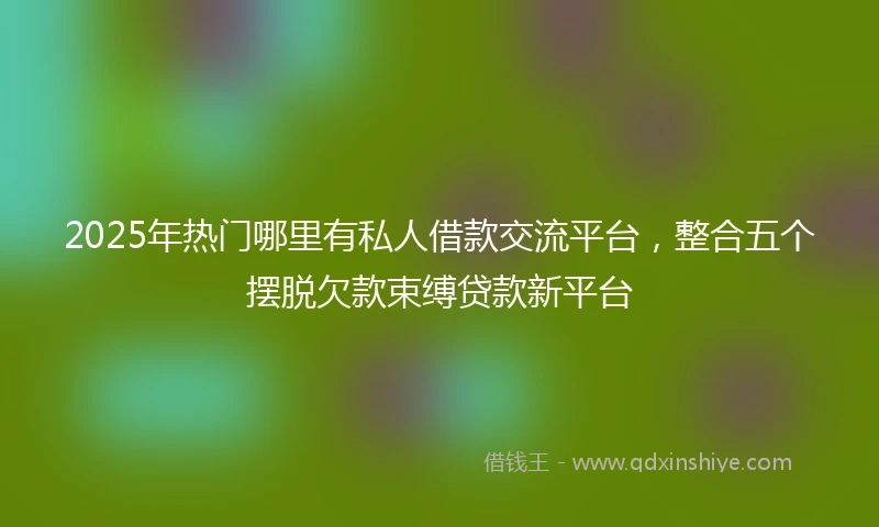 2025年热门哪里有私人借款交流平台，整合五个摆脱欠款束缚贷款新平台