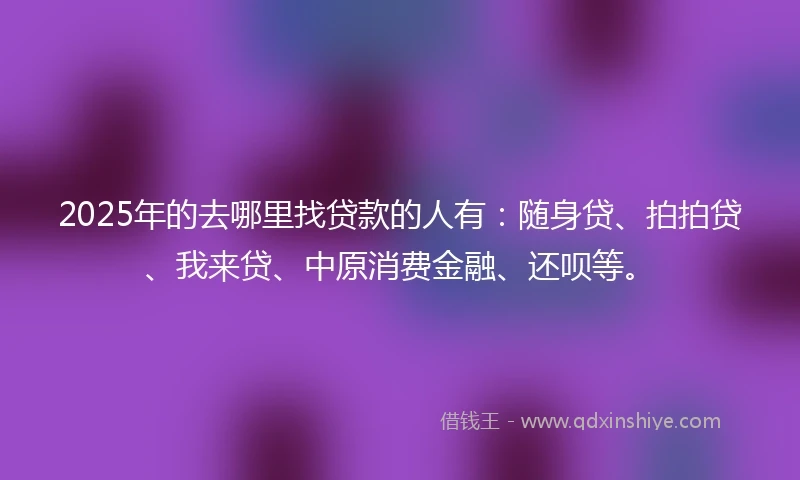 2025年的去哪里找贷款的人有：随身贷、拍拍贷、我来贷、中原消费金融、还呗等。