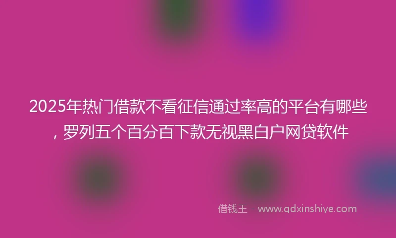 2025年热门借款不看征信通过率高的平台有哪些，罗列五个百分百下款无视黑白户网贷软件