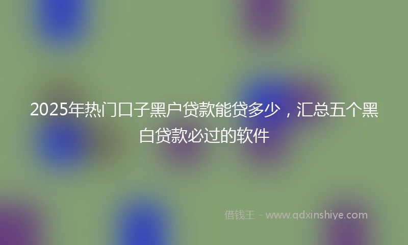 2025年热门口子黑户贷款能贷多少，汇总五个黑白贷款必过的软件