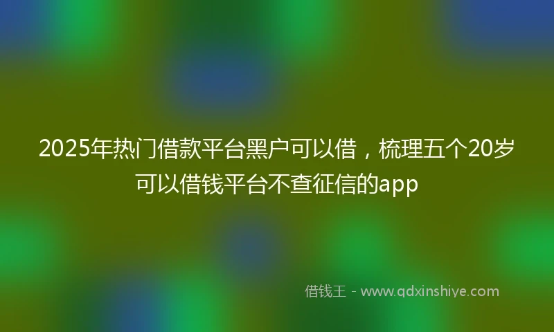 2025年热门借款平台黑户可以借，梳理五个20岁可以借钱平台不查征信的app