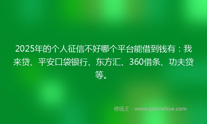2025年的个人征信不好哪个平台能借到钱有：我来贷、平安口袋银行、东方汇、360借条、功夫贷等。