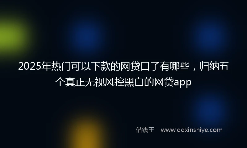 2025年热门可以下款的网贷口子有哪些，归纳五个真正无视风控黑白的网贷app