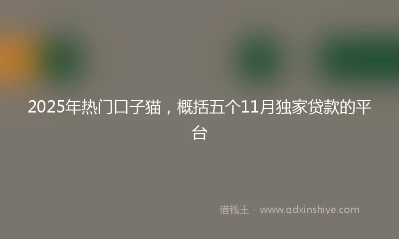 2025年热门口子猫，概括五个11月独家贷款的平台
