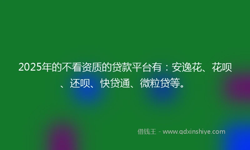 2025年的不看资质的贷款平台有:安逸花、花呗、还呗、快贷通、微粒贷等。