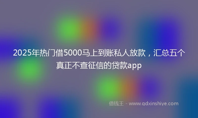 2025年热门借5000马上到账私人放款，汇总五个真正不查征信的贷款app