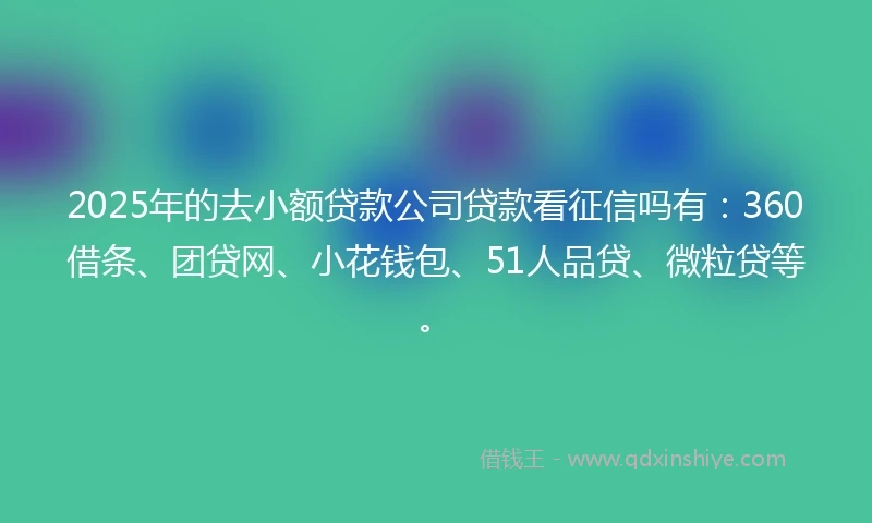 2025年的去小额贷款公司贷款看征信吗有：360借条、团贷网、小花钱包、51人品贷、微粒贷等。