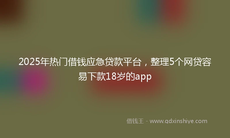 2025年热门借钱应急贷款平台，整理5个网贷容易下款18岁的app
