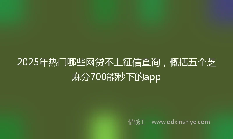 2025年热门哪些网贷不上征信查询,概括五个芝麻分700能秒下的app