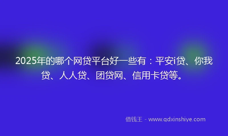2025年的哪个网贷平台好一些有：平安i贷、你我贷、人人贷、团贷网、信用卡贷等。
