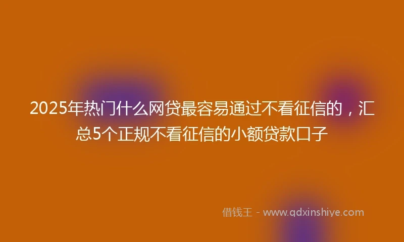 2025年热门什么网贷最容易通过不看征信的，汇总5个正规不看征信的小额贷款口子