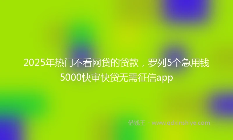 2025年热门不看网贷的贷款，罗列5个急用钱5000快审快贷无需征信app