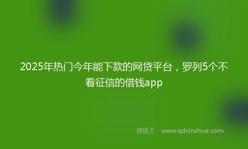 2025年热门今年能下款的网贷平台，罗列5个不看征信的借钱app
