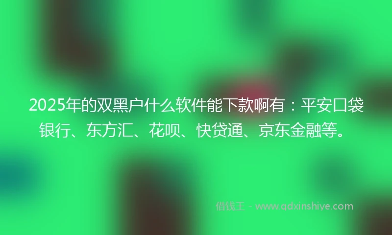 2025年的双黑户什么软件能下款啊有：平安口袋银行、东方汇、花呗、快贷通、京东金融等。