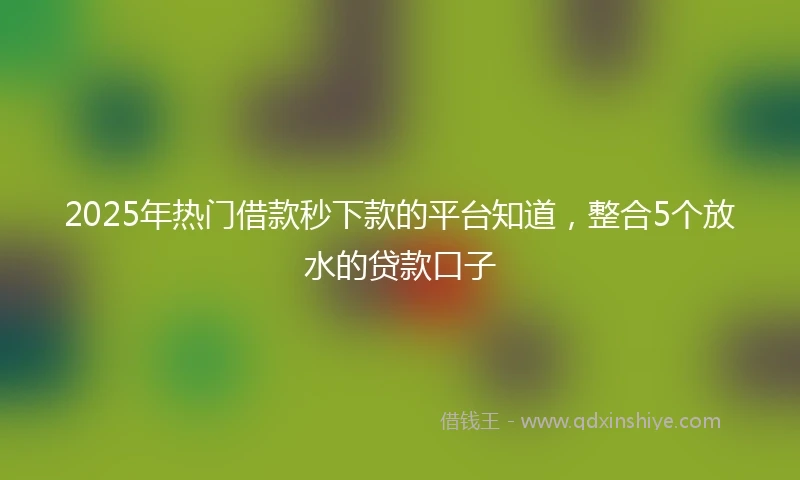 2025年热门借款秒下款的平台知道，整合5个放水的贷款口子