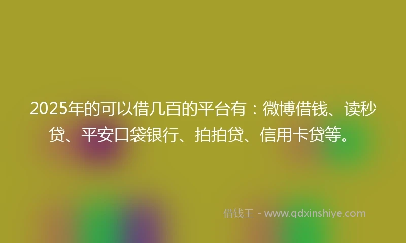 2025年的可以借几百的平台有：微博借钱、读秒贷、平安口袋银行、拍拍贷、信用卡贷等。