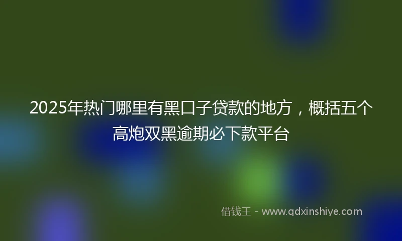 2025年热门哪里有黑口子贷款的地方，概括五个高炮双黑逾期必下款平台