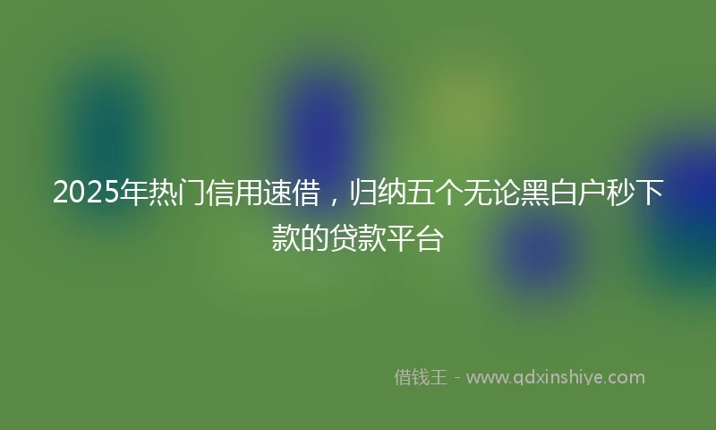 2025年热门信用速借，归纳五个无论黑白户秒下款的贷款平台