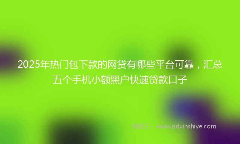 2025年热门包下款的网贷有哪些平台可靠，汇总五个手机小额黑户快速贷款口子