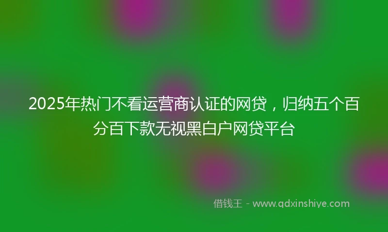 2025年热门不看运营商认证的网贷，归纳五个百分百下款无视黑白户网贷平台