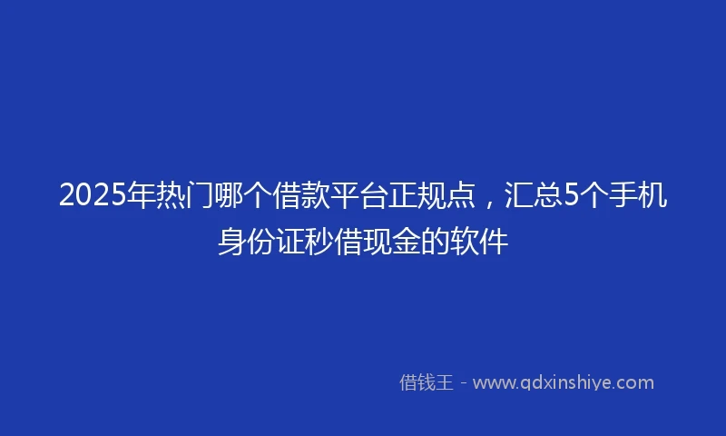 2025年热门哪个借款平台正规点，汇总5个手机身份证秒借现金的软件