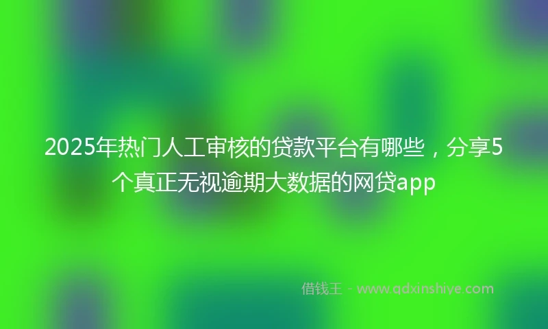 2025年热门人工审核的贷款平台有哪些，分享5个真正无视逾期大数据的网贷app