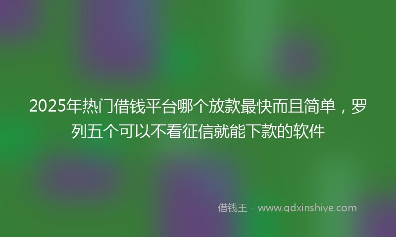 2025年热门借钱平台哪个放款最快而且简单，罗列五个可以不看征信就能下款的软件