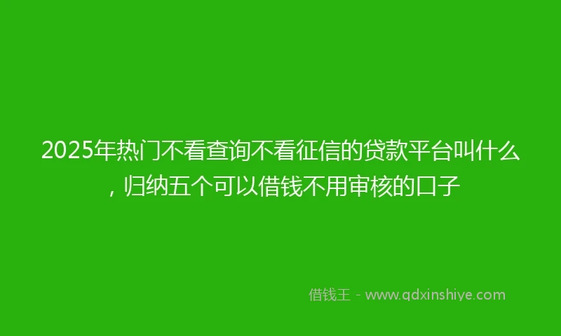 2025年热门不看查询不看征信的贷款平台叫什么，归纳五个可以借钱不用审核的口子