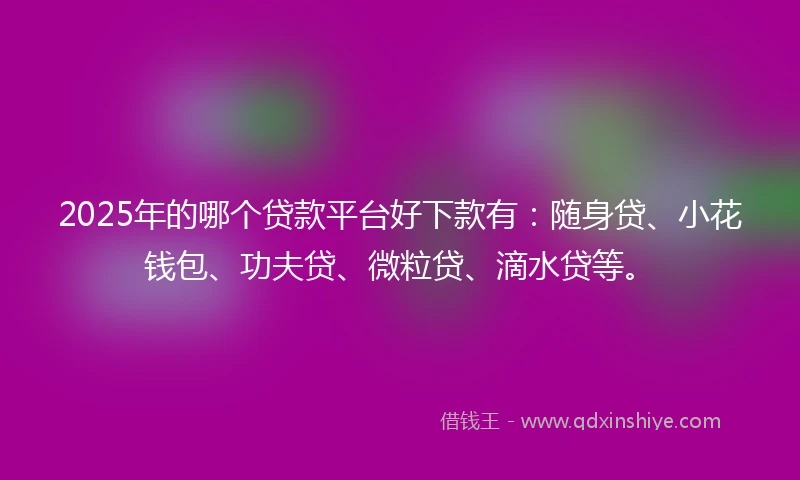 2025年的哪个贷款平台好下款有：随身贷、小花钱包、功夫贷、微粒贷、滴水贷等。