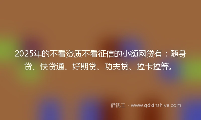 2025年的不看资质不看征信的小额网贷有：随身贷、快贷通、好期贷、功夫贷、拉卡拉等。