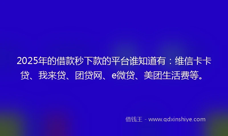2025年的借款秒下款的平台谁知道有：维信卡卡贷、我来贷、团贷网、e微贷、美团生活费等。