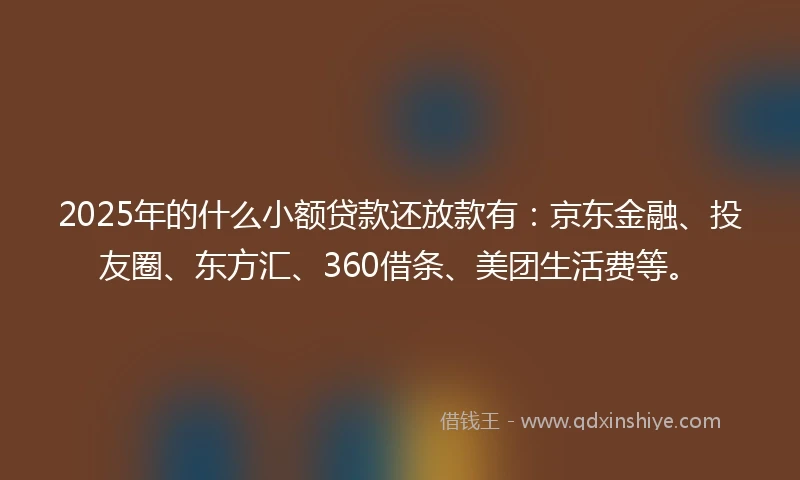 2025年的什么小额贷款还放款有：京东金融、投友圈、东方汇、360借条、美团生活费等。
