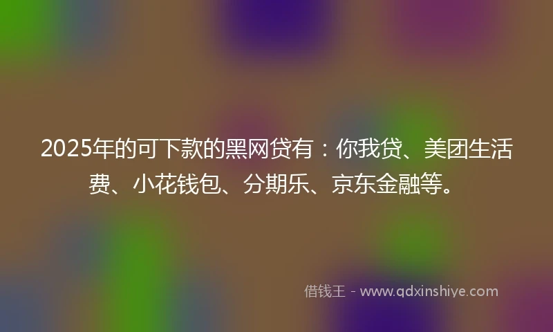 2025年的可下款的黑网贷有：你我贷、美团生活费、小花钱包、分期乐、京东金融等。