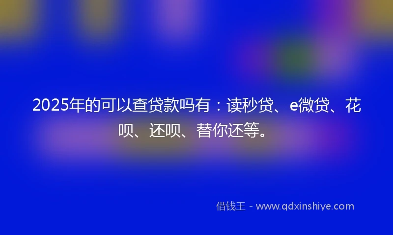 2025年的可以查贷款吗有：读秒贷、e微贷、花呗、还呗、替你还等。