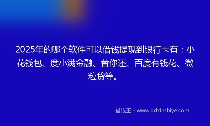 2025年的哪个软件可以借钱提现到银行卡有：小花钱包、度小满金融、替你还、百度有钱花、微粒贷等。