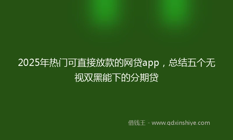 2025年热门可直接放款的网贷app，总结五个无视双黑能下的分期贷
