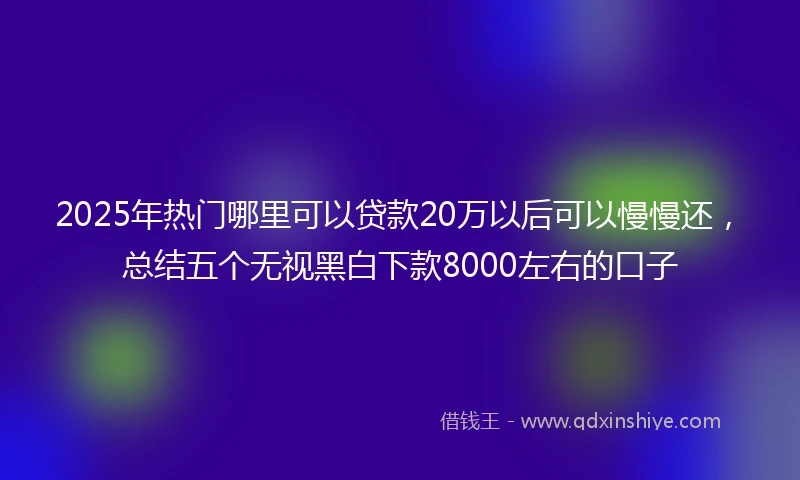 2025年热门哪里可以贷款20万以后可以慢慢还，总结五个无视黑白下款8000左右的口子